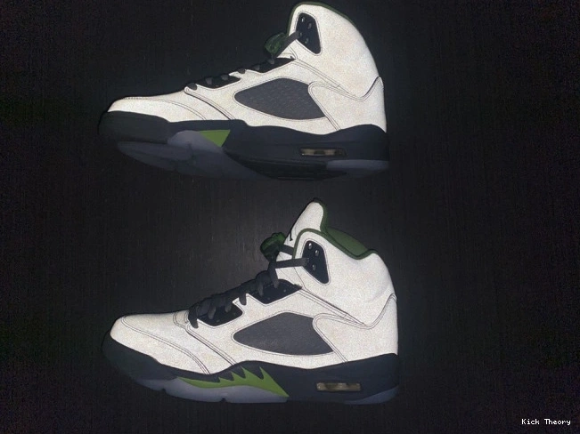 Kicktheory Green 5 (2022) Retro Bean Jordan DM9014-003 0731